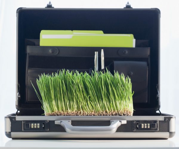 Nachhaltig produzieren: Tun Sie Gutes und reden Sie darüber