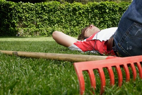 Wo du dir als Schüler Geld dazuverdienen kannst