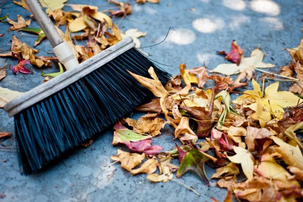 Vorsicht Rutschgefahr: Räumpflicht bei Herbstlaub