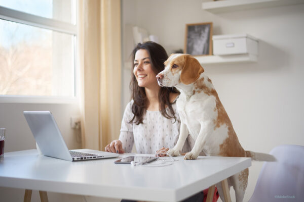 Homeoffice in der Steuererklärung