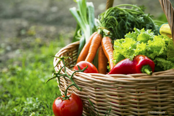 Mit der Ernährung zur Klimawende beitragen